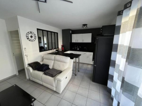 Since 1996 - Groupama Stadium, LDLC Arena, Eurexpo, Lyon, Appartement Calme